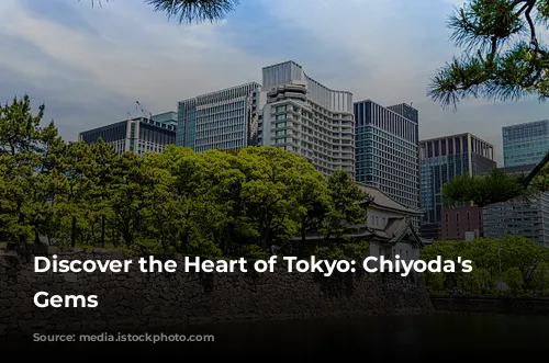 Discover the Heart of Tokyo: Chiyoda's Hidden Gems