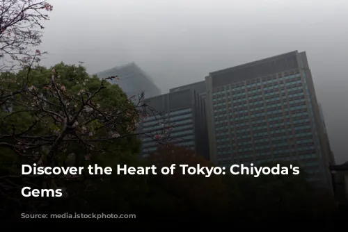 Discover the Heart of Tokyo: Chiyoda's Hidden Gems