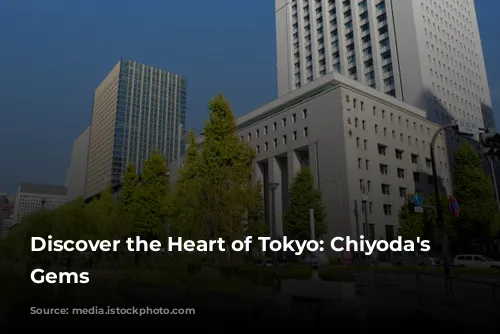 Discover the Heart of Tokyo: Chiyoda's Hidden Gems