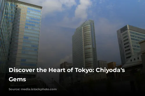 Discover the Heart of Tokyo: Chiyoda's Hidden Gems