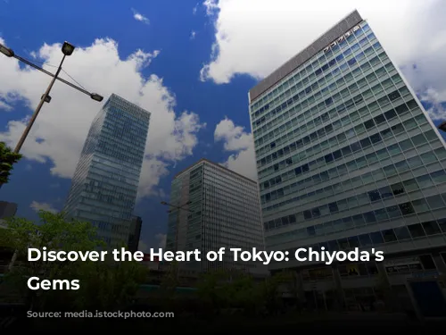 Discover the Heart of Tokyo: Chiyoda's Hidden Gems