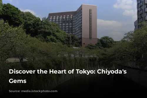 Discover the Heart of Tokyo: Chiyoda's Hidden Gems