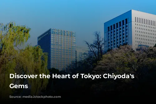 Discover the Heart of Tokyo: Chiyoda's Hidden Gems