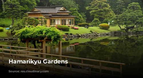 Hamarikyu Gardens