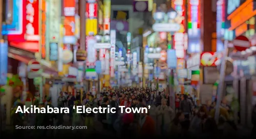 Akihabara ‘Electric Town’