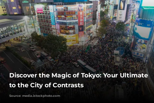 Discover the Magic of Tokyo: Your Ultimate Guide to the City of Contrasts