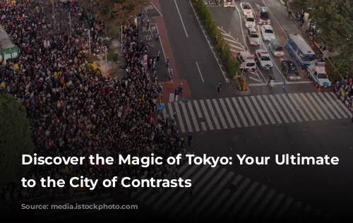 Discover the Magic of Tokyo: Your Ultimate Guide to the City of Contrasts