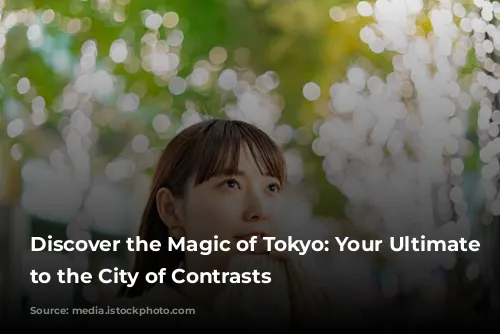 Discover the Magic of Tokyo: Your Ultimate Guide to the City of Contrasts