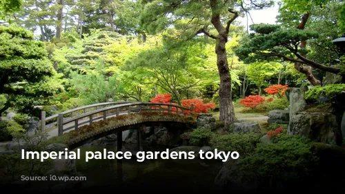 Imperial palace gardens tokyo