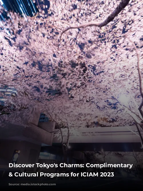 Discover Tokyo's Charms: Complimentary Tours & Cultural Programs for ICIAM 2023 Guests