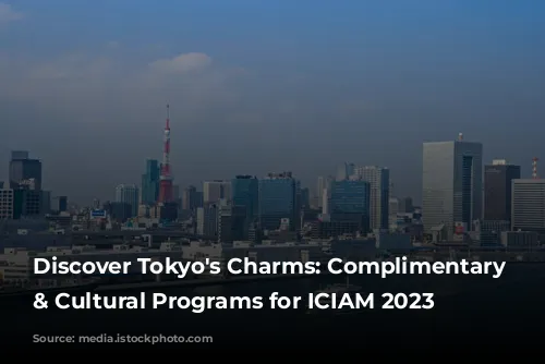 Discover Tokyo's Charms: Complimentary Tours & Cultural Programs for ICIAM 2023 Guests