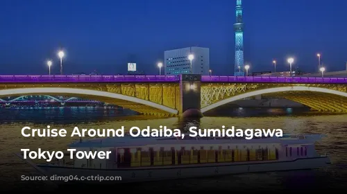 Cruise Around Odaiba, Sumidagawa and Tokyo Tower