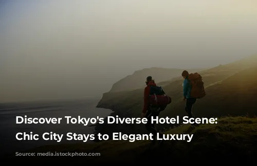 Discover Tokyo's Diverse Hotel Scene: From Chic City Stays to Elegant Luxury