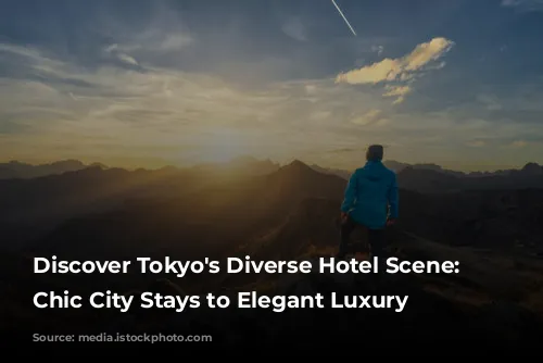 Discover Tokyo's Diverse Hotel Scene: From Chic City Stays to Elegant Luxury