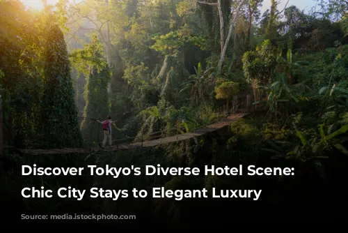 Discover Tokyo's Diverse Hotel Scene: From Chic City Stays to Elegant Luxury