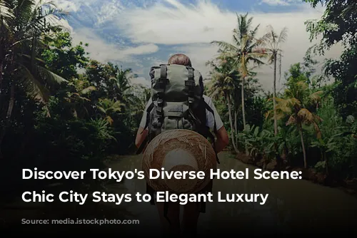 Discover Tokyo's Diverse Hotel Scene: From Chic City Stays to Elegant Luxury