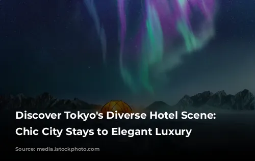 Discover Tokyo's Diverse Hotel Scene: From Chic City Stays to Elegant Luxury