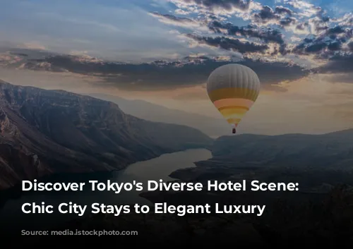 Discover Tokyo's Diverse Hotel Scene: From Chic City Stays to Elegant Luxury