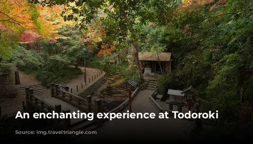 An enchanting experience at Todoroki Valley