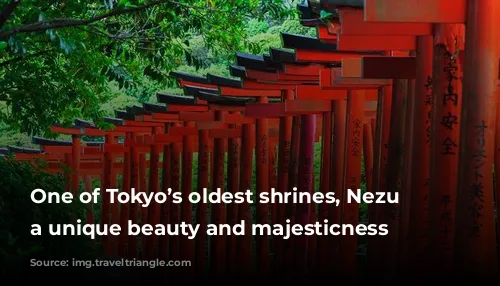 One of Tokyo’s oldest shrines, Nezu carries a unique beauty and majesticness