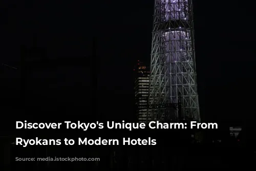 Discover Tokyo's Unique Charm: From Traditional Ryokans to Modern Hotels