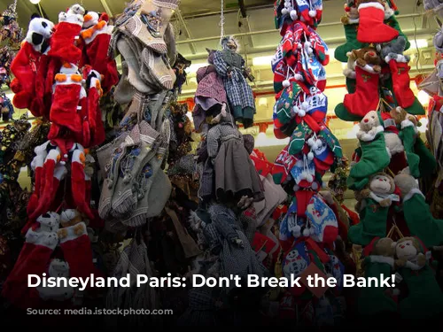 Disneyland Paris: Don't Break the Bank! 🤑