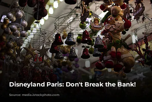 Disneyland Paris: Don't Break the Bank! 🤑