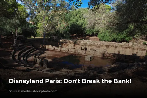 Disneyland Paris: Don't Break the Bank! 🤑