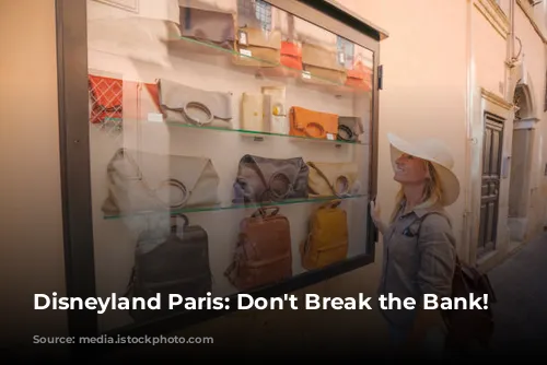 Disneyland Paris: Don't Break the Bank! 🤑