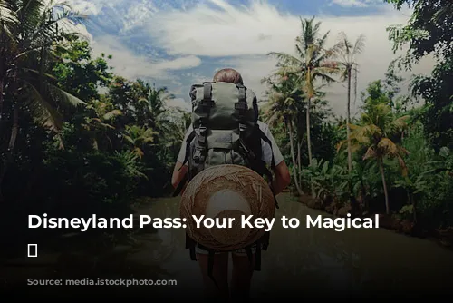 Disneyland Pass: Your Key to Magical Adventures! ✨