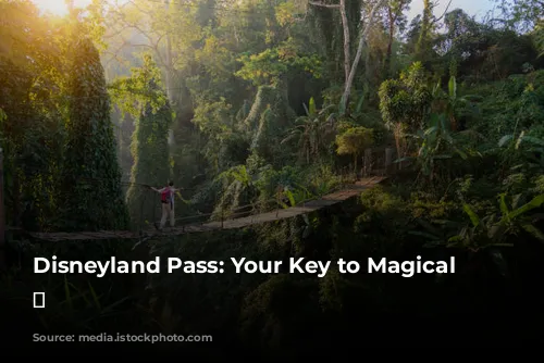 Disneyland Pass: Your Key to Magical Adventures! ✨