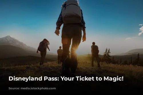 Disneyland Pass: Your Ticket to Magic!