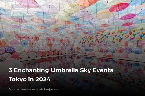 3 Enchanting Umbrella Sky Events Near Tokyo in 2024