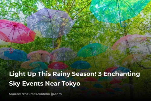 Light Up This Rainy Season! 3 Enchanting Umbrella Sky Events Near Tokyo