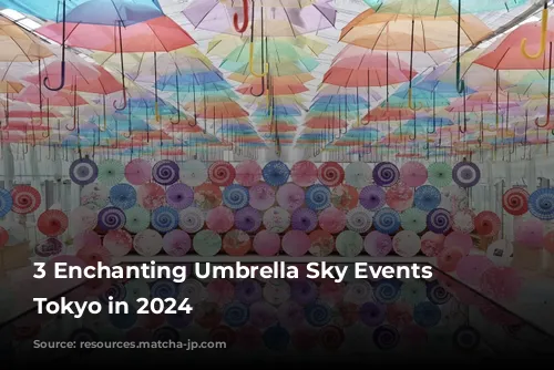 3 Enchanting Umbrella Sky Events Near Tokyo in 2024