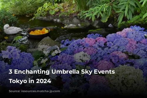 3 Enchanting Umbrella Sky Events Near Tokyo in 2024