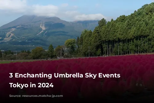 3 Enchanting Umbrella Sky Events Near Tokyo in 2024