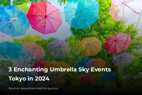 3 Enchanting Umbrella Sky Events Near Tokyo in 2024