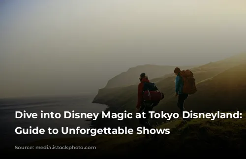 Dive into Disney Magic at Tokyo Disneyland: A Guide to Unforgettable Shows