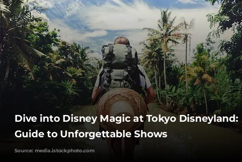 Dive into Disney Magic at Tokyo Disneyland: A Guide to Unforgettable Shows