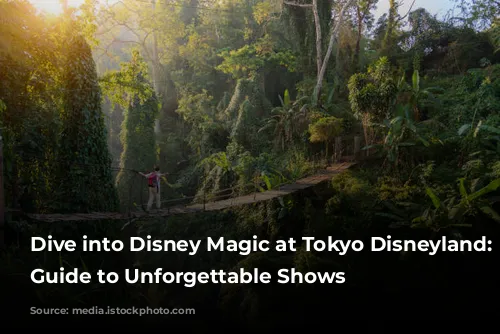 Dive into Disney Magic at Tokyo Disneyland: A Guide to Unforgettable Shows