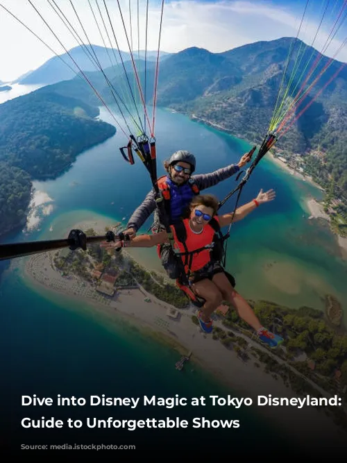 Dive into Disney Magic at Tokyo Disneyland: A Guide to Unforgettable Shows