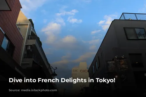 Dive into French Delights in Tokyo!