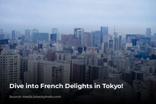 Dive into French Delights in Tokyo!