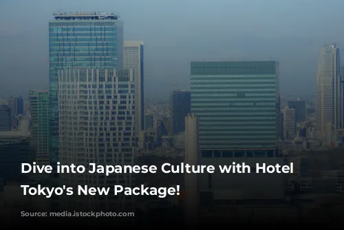 Dive into Japanese Culture with Hotel Chinzanso Tokyo's New Package!