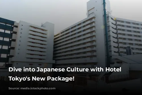 Dive into Japanese Culture with Hotel Chinzanso Tokyo's New Package!