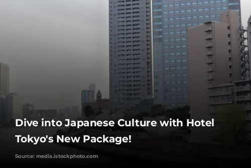 Dive into Japanese Culture with Hotel Chinzanso Tokyo's New Package!