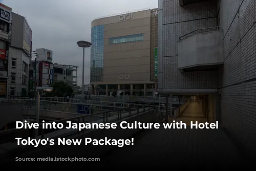 Dive into Japanese Culture with Hotel Chinzanso Tokyo's New Package!