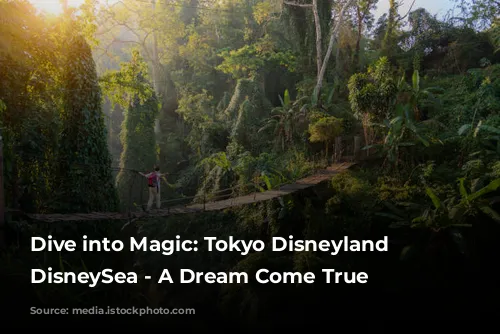 Dive into Magic: Tokyo Disneyland and DisneySea - A Dream Come True