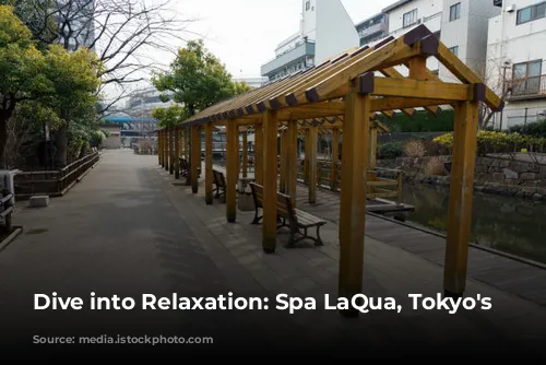 Dive into Relaxation: Spa LaQua, Tokyo's Oasis